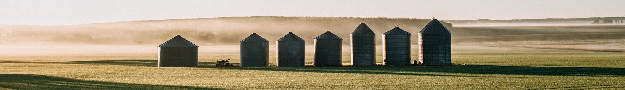 A row of grain bins in morning mist on the prairie