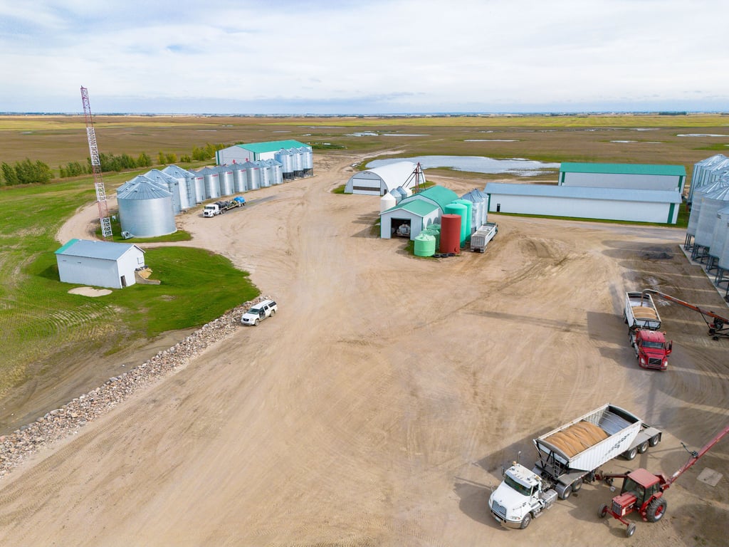 Grain trucks at the bins on the Lumsden farm yard