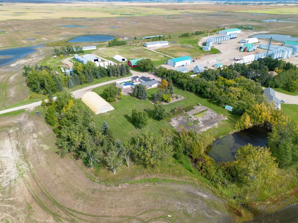 Aerial view of the Lumsden farm residences and shelterbelt