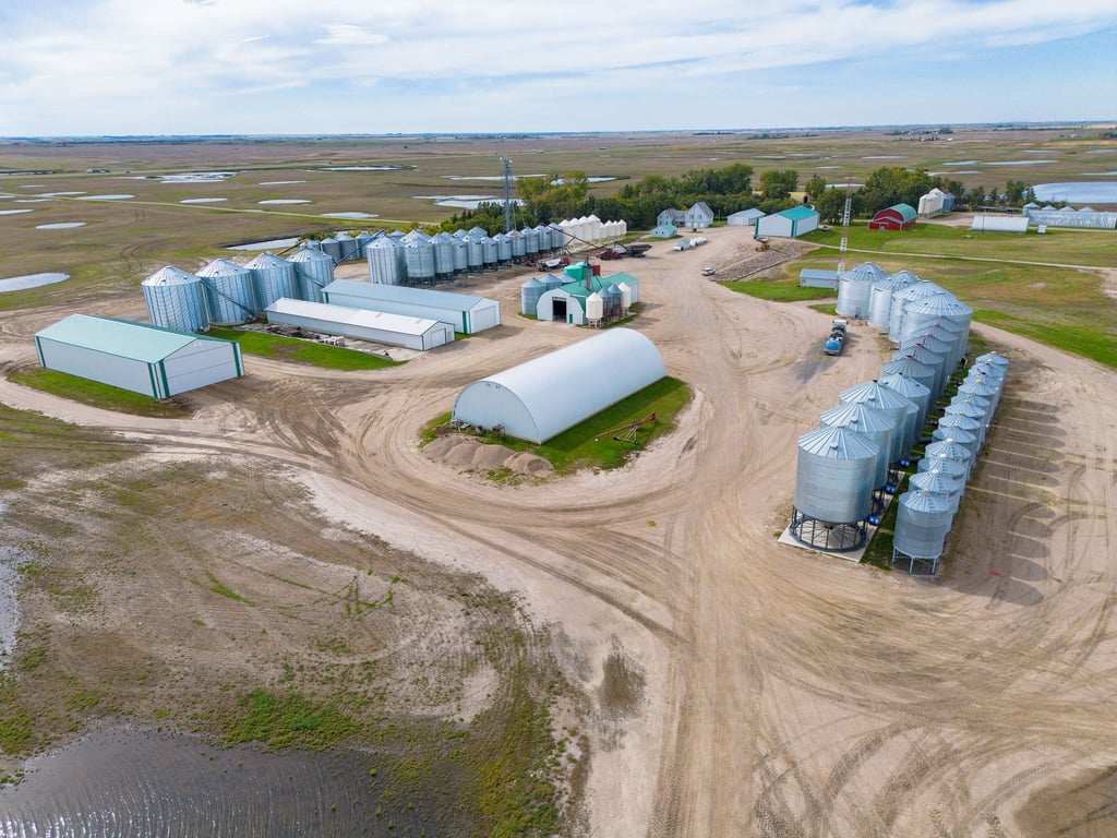 Grain bins, sheds and a storage building on the Lumsden farm yard
