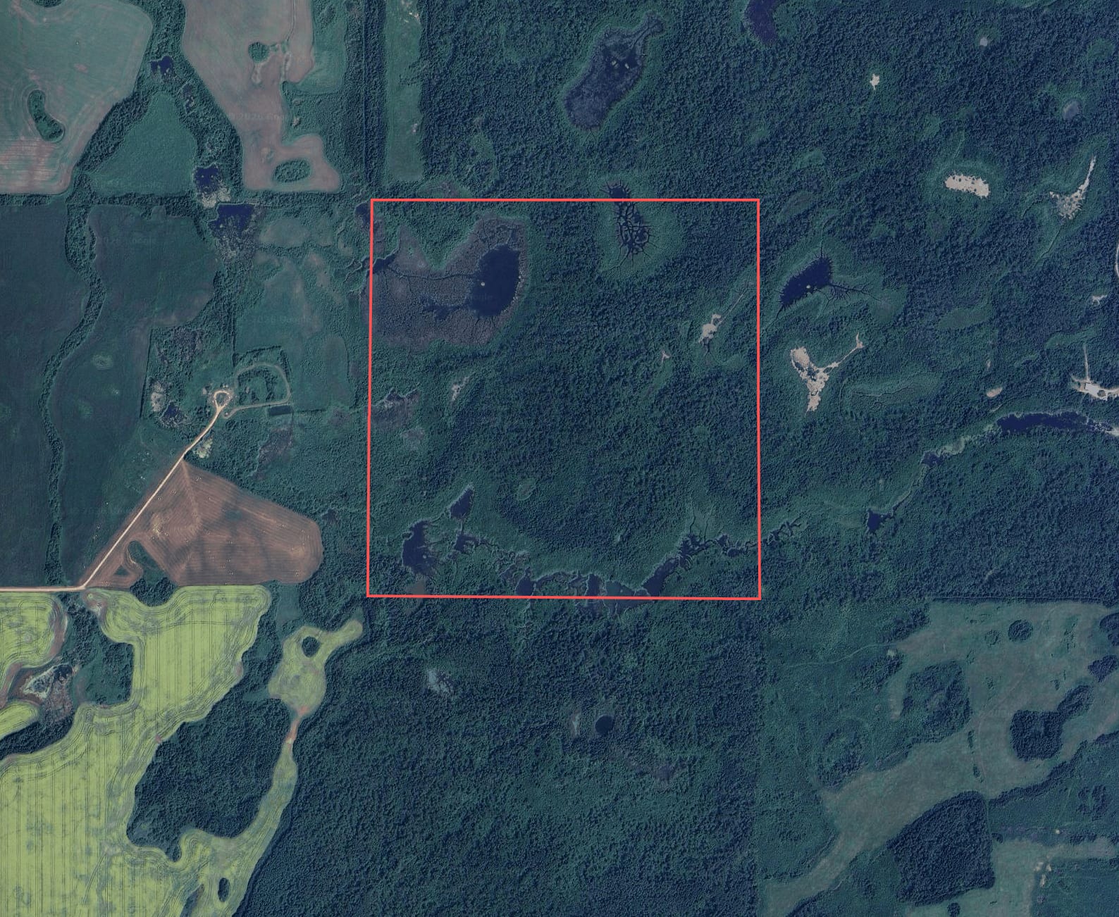 Aerial view of Clark Rec Quarter property boundaries and surrounding forested area
