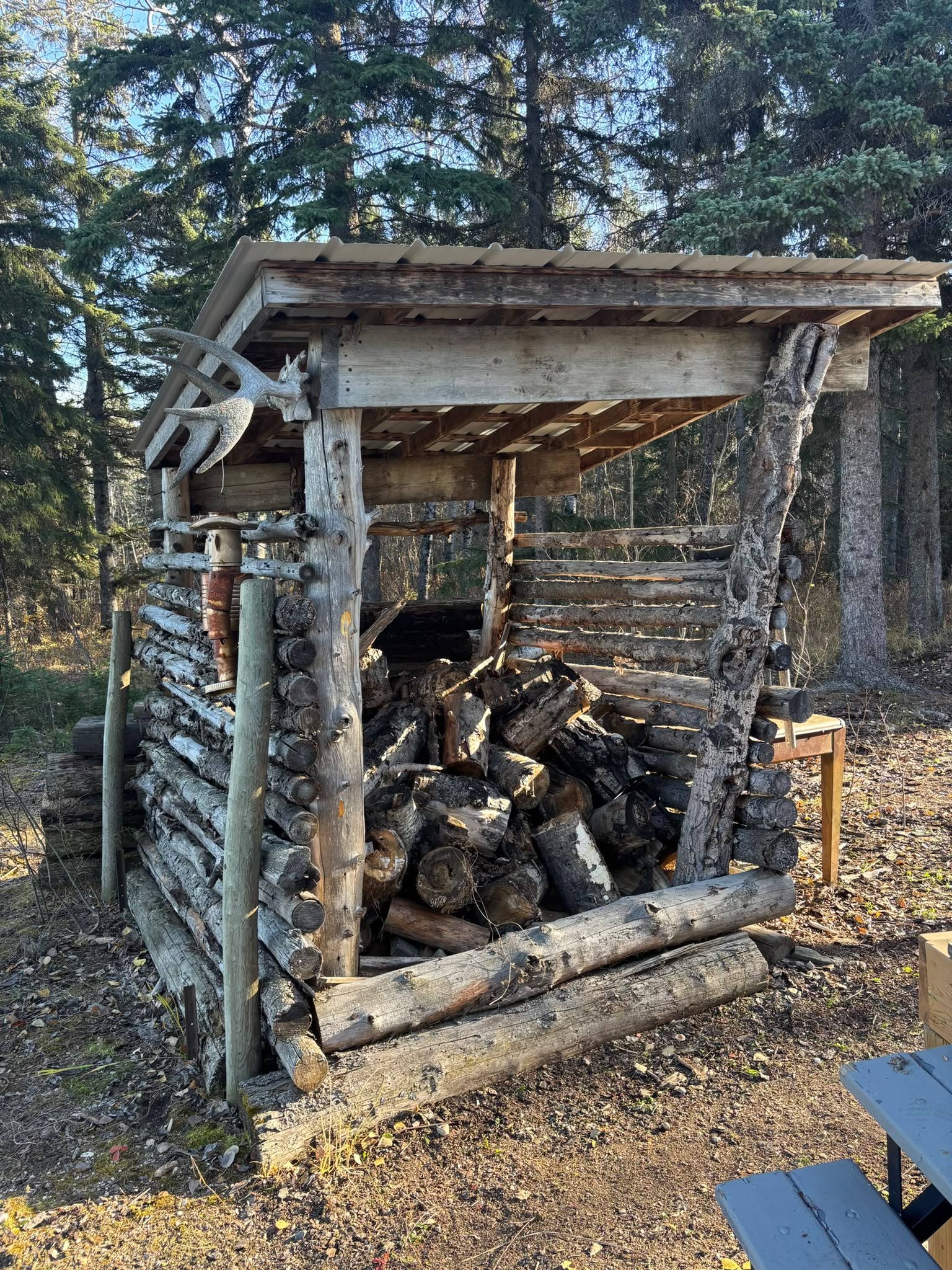 Covered wood storage shelter in forest